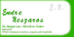 endre meszaros business card